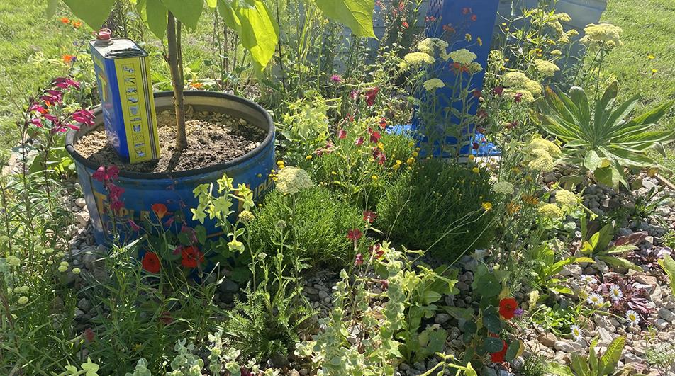 Sam Taylor-Hunt’s border at the Belvoir Castle Flower & Garden Show